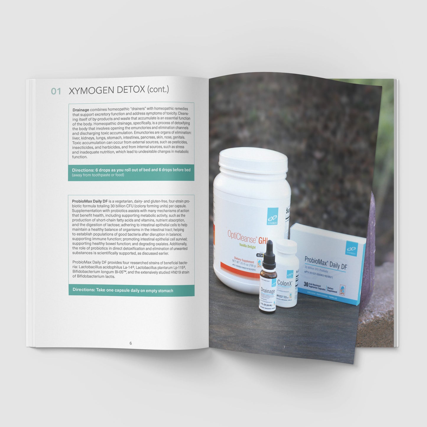 Simple Detox Program book