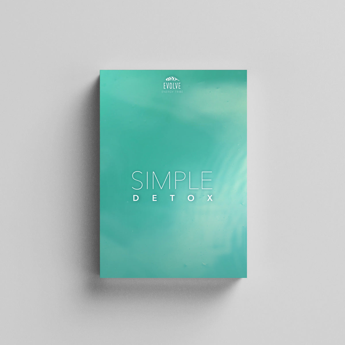 Simple Detox Program book